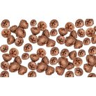 Eukaliptusz termés - Bronz - 16 dkg