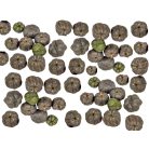  Liliputi tök - Putka pod - Fekete - 12 dkg/csomag