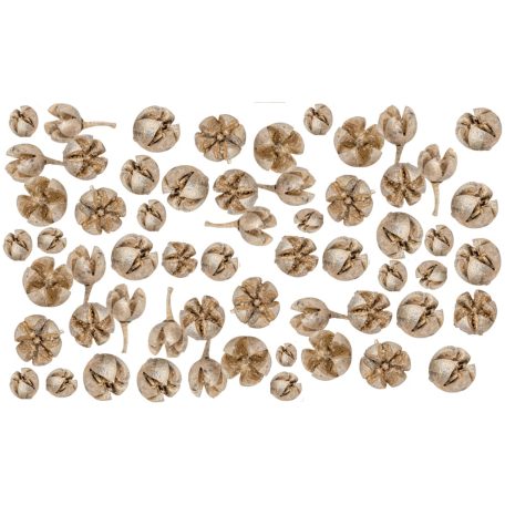 Tulipán termés - Chiruni Pod - Pezsgő - 17 dkg/csomag