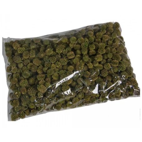 Casuarina termés - Zöld - 25 dkg/csomag 