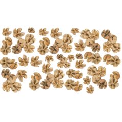   Tulipán termés - Chiruni Pod - Fehérített - 17 dkg/csomag
