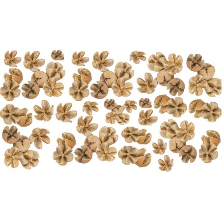 Tulipán termés - Chiruni Pod - Fehérített - 17 dkg/csomag