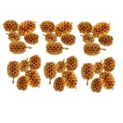 Casuarina termés - Arany - 17 dkg/csomag 