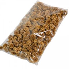 Casuarina termés - Arany - 17 dkg/csomag 