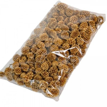 Casuarina termés - Arany - 17 dkg/csomag 