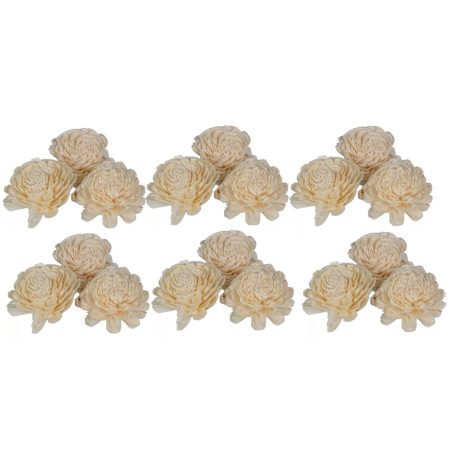  Ming boglárka - Fehér - 8 cm virágok - 12 db/csomag  