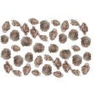 Cédrus rózsa - Havas fehér - 17 dkg/csomag