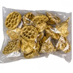 Lótusz termés - Arany - 4-5 cm - 15 db/csomag