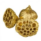 Lótusz termés - Arany - 4-5 cm - 15 db/csomag