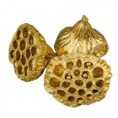 Lótusz termés - Arany - 4-5 cm - 15 db/csomag