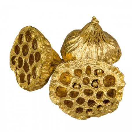 Lótusz termés - Arany - 4-5 cm - 15 db/csomag