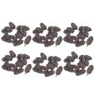 Birch pine termés - Hamvas szürke - 21 dkg/csomag 