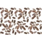 Birch pine termés - Havas fehér - 21 dkg/csomag