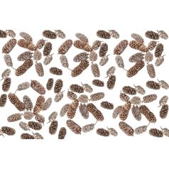Birch pine termés - Havas fehér - 21 dkg/csomag