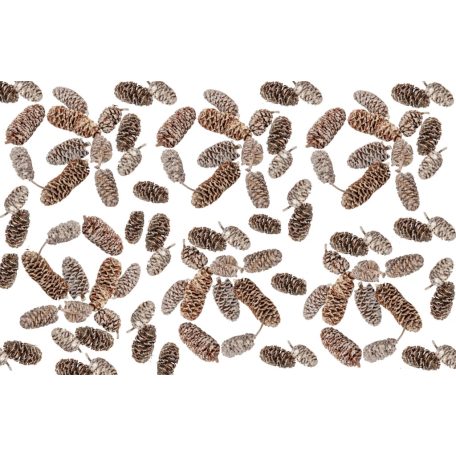 Birch pine termés - Havas fehér - 21 dkg/csomag