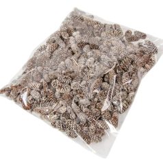 Birch pine termés - Havas fehér - 21 dkg/csomag