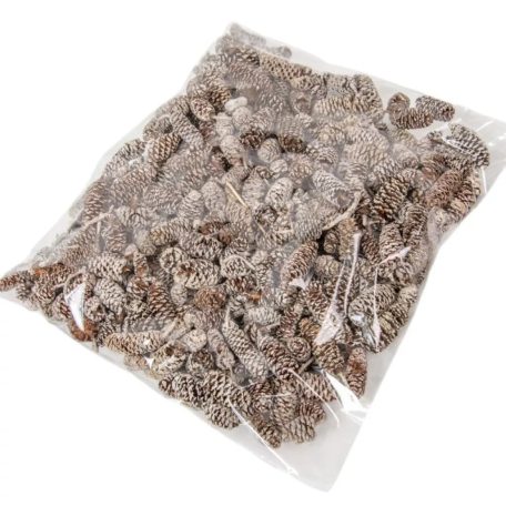 Birch pine termés - Havas fehér - 21 dkg/csomag