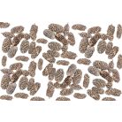 Birch pine termés - Havas fehér - 18 dkg/csomag