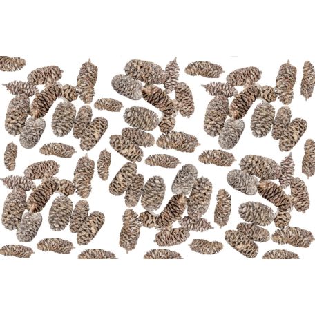 Birch pine termés - Havas fehér - 18 dkg/csomag