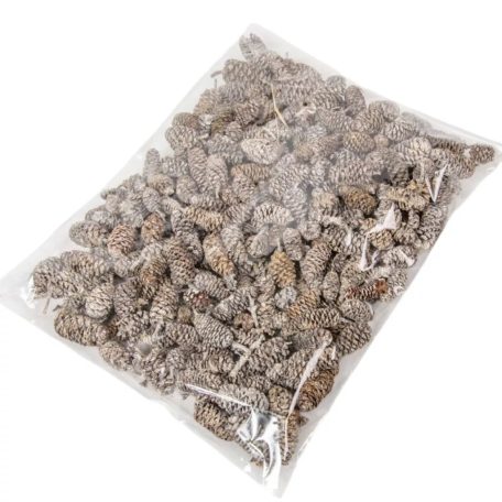 Birch pine termés - Havas fehér - 18 dkg/csomag