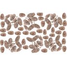 Birch pine termés - Falfestékes terracotta - 18 dkg/csomag