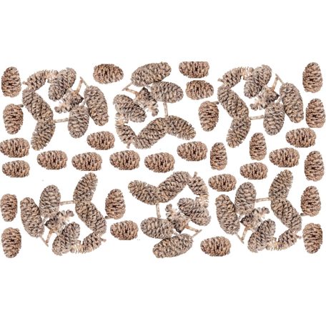 Birch pine termés - Falfestékes terracotta - 18 dkg/csomag