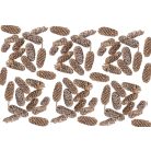 Birch pine termés - Falfestékes salmon - 18 dkg/csomag