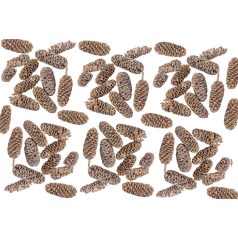 Birch pine termés - Falfestékes salmon - 18 dkg/csomag