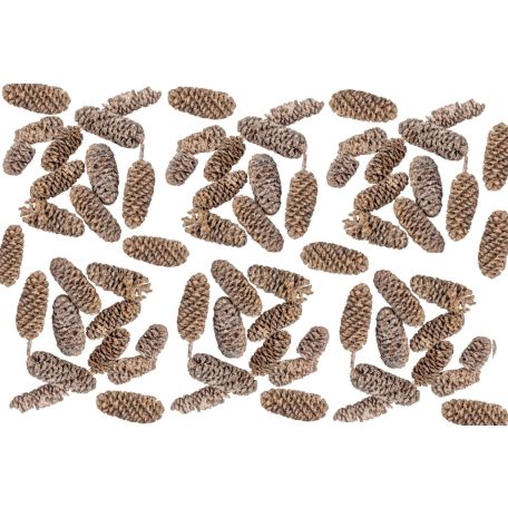 Birch pine termés - Falfestékes salmon - 18 dkg/csomag