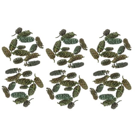 Birch pine termés - Zöld - 20 dkg/csomag