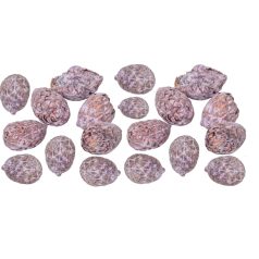 Cane fruit termés - falfestékes mauve  - 15 dkg/csomag