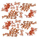 Canella cutting bogyós termés - Terracotta - 15 dkg/csomag