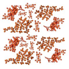 Canella cutting bogyós termés - Terracotta - 15 dkg/csomag