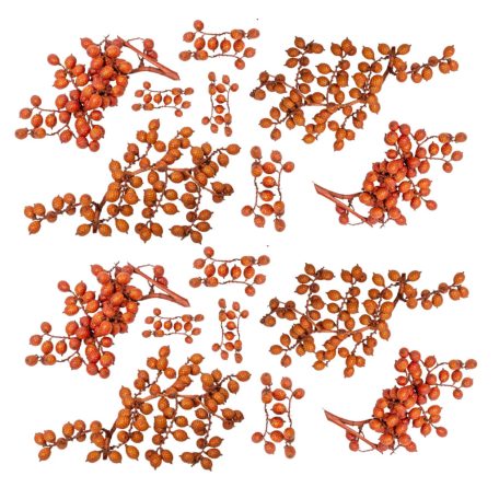Canella cutting bogyós termés - Terracotta - 15 dkg/csomag