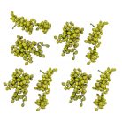 Canella cutting bogyós termés - Zöld - 15 dkg/csomag