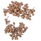 Canella cutting bogyós termés - Old pink - 15 dkg/csomag