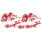  Canella cutting bogyós termés - Piros - 15 dkg/csomag