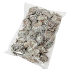 Cédrus rózsa - Falfestékes mud zöld - 17 dkg/csomag