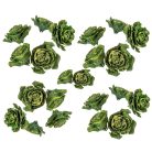 Cédrus rózsa - Zöld - 17 dkg/csomag