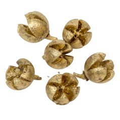 Tulipán termés - Chiruni Pod - Arany - 15 dkg/csomag
