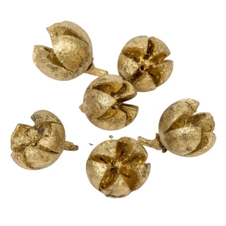 Tulipán termés - Chiruni Pod - Arany - 15 dkg/csomag