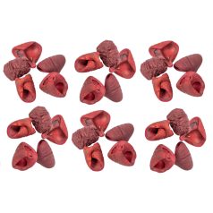 Lali termés - Bordó - 22 dkg/csomag