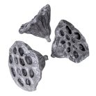 Lótusz termés - Ezüst - 4-5 cm - 10 db/csomag