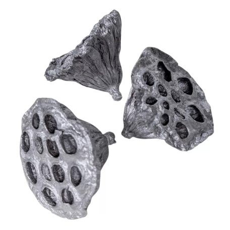 Lótusz termés - Ezüst - 4-5 cm - 10 db/csomag