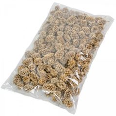 Casuarina termés - Arany 2. - 17 dkg/csomag 