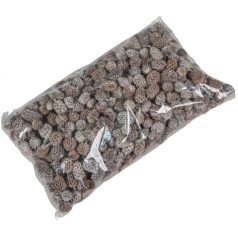 Casuarina termés - Szürke - 25 dkg/csomag