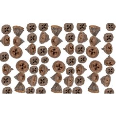 Eukaliptusz termés - Natúr barna - 28 dkg