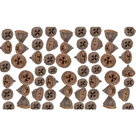 Eukaliptusz termés - Natúr barna - 28 dkg