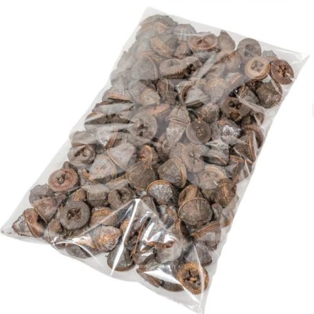Eukaliptusz termés - Natúr barna - 28 dkg