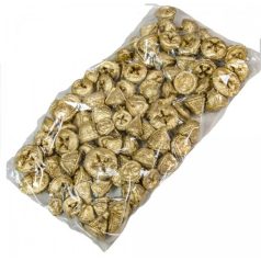 Eukaliptusz termés - Antik arany - 16 dkg /csomag